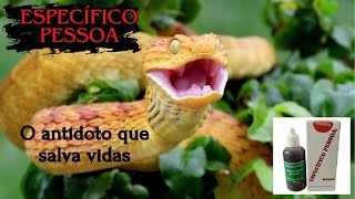 ESPECÍFICO PESSOA - o antídoto que salva de picada de cobra.