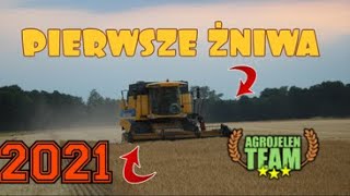 Pierwsze żniwa 2021 | Jęczmień zimowy | New Holland csx 7040