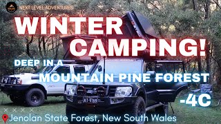 Overnight Winter Camping In A Mountain Pine Forest! Deep Cold -4c