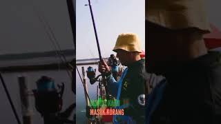 BUNTUT KAKU ‼️ MASUK KORANG