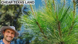 Cheap Texas Land