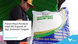 Panen Raya Perdana Padi SRI Organik di Sigi, Sulawesi Tengah