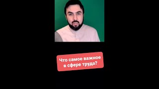 Что важно в сфере труда?