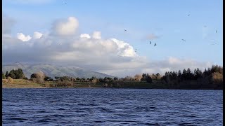 Kayaking in Rainbow Lake among the birds