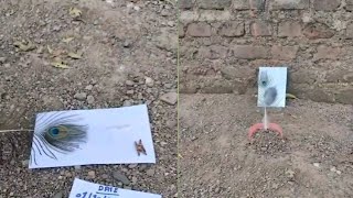 Original Peacock feather rice test and mirror test || Call me Aaryan 7378461014