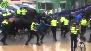 Hooligan fight - Groningen vs. Marseille (Europa League - 17/09/15)