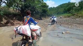 PESONA ALAM DESA JEMASIH OJEK SAWAH TRACK LUMPUR