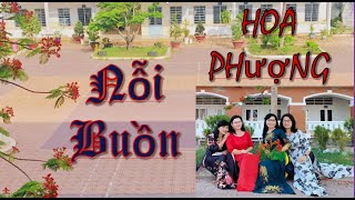 Tân Cổ Nỗi Buồn Hoa Phượng- Thu Trang, Thanh Tòng