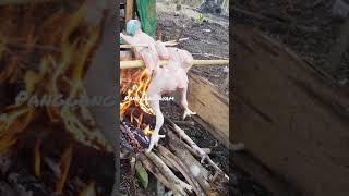 #bakar #ayam dikebun #shorts