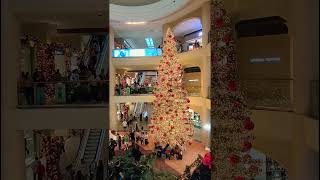 Powerplant  mall Christmas tree