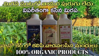 Nano care 100% organic oil full information || nano care fertilizer || how to control black thrips