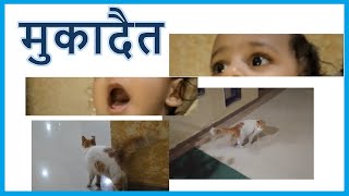 मुकादैत - Purnale Family Vlog