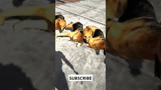 My dog is not more | Indian bike driving 3d | #indianbikedriving3d #shorts