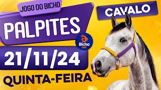 PALPITE DO DIA 21/11/2024 - JOGO DO BICHO 🍀 TODAS AS LOTERIAS 🍀