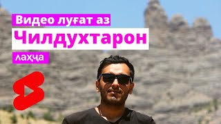 Акаи Саъди ҳамаи калимоои Чилдухтарона медонӣ? (лаҳҷа) дар #shorts