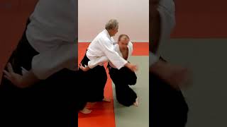 Aikido technique IRIMINAGE on some grab and strike attacks, by Stefan Stenudd