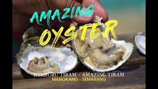 Berburu Tiram - Oyster di Mangkang