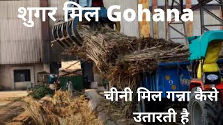 Sugarmill Gohana Haryana |  शुगर मिल में गन्ना कैसे उतारते है