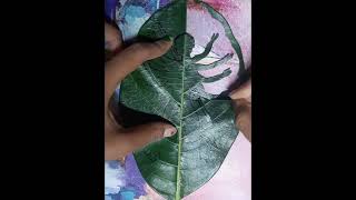 || Maa durga leaf cutting art|| leaf art|| #trending#art #shortvideo#pujo#karabi#viral#love#durga