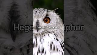 The Owl of Minerva: Hegel's Metaphor of Wisdom's Timing