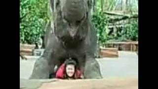 [GuestCamera] - How to Protect Bao Lin - Safari Park Indonesia