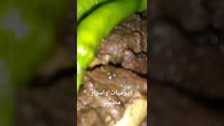 فطار اول يوم العيد في مصر😋#يوميات_واسرار_مطبخي #متنسوش_لايك_والاشتراك #ام_حمزة