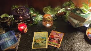 VIRGO 🌿Aug'24 -- कन्या राशि -- Hindi tarot