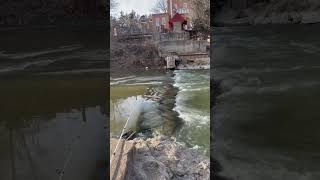 River iceberg #river #iceberg #catfish #spillway