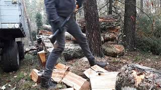 Cięcie drewna brzozy stihl ms 251 rąbanie siekierą fiskars x27 trasport ursus c-355 c-360 przyczepa