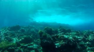 Crystal Rock Point - Komodo Island