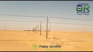 Floppy Sprinkler Algeria