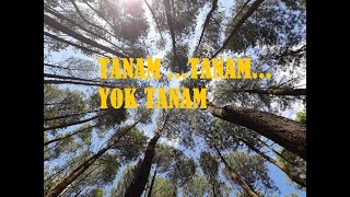 Tanam Pohon Yok Tanam, Lagu untuk Lingkungan