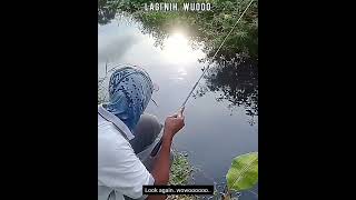 Seneng Mancing Wader Uceng Babon / Happy Micro Fishing #Shorts