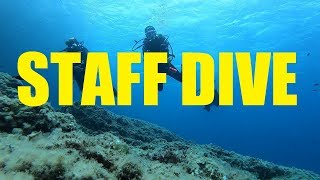 Staff Dive , ZOEA Mallorca 2019.