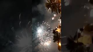 Fire works Colourfull Sky at night #shorts #youtubeshorts #viralshorts #shortsvideo