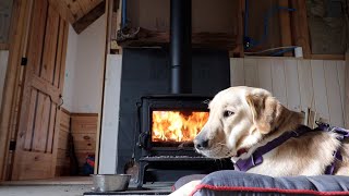 Off Grid Cabin Build: Overnight Trip With my Dog - Siding