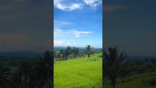 Ubud Bali