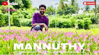 മണ്ണുത്തിയിലെ നഴ്സറികൾ ഒരു വിസ്മയലോകം. #mannuthy #rose  #nursery #flowers #plants #thrissur #fruits