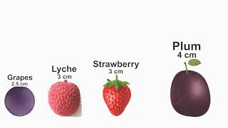 Fruits Size Comparison 2D | #comparison