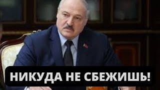 МОЩНОЕ заявление Лукашенко о Зеленском и спецоперации РФ на Украине