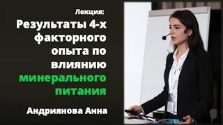 Как при минимуме затрат получить отличный результат по качеству минерального питания газона