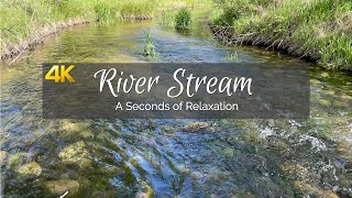 Sounds of River Stream a Seconds of Relaxation