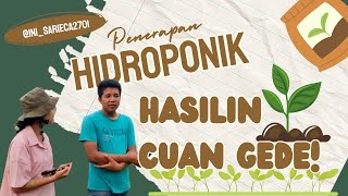 Penerapan Hidroponik bisa jadi cuan gede!! Yuk disimak #Hidroponik #Sistempertanianberkelanjutan