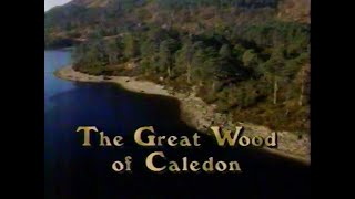 The Great Wood of Caledon (1989)