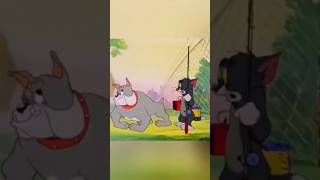 توم وجيري في الحقيقة والكرتون tom&jerry😂😂 #funny