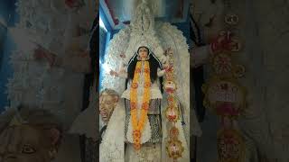 Chandannagar jagadhatri puja circus math 2021