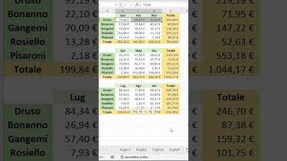 Fai sparire i dati su Excel con un trucco di formattazione #exceltips #exceltutorial #exceltricks