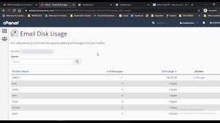 How To Check Email Disk Usage in cPanel