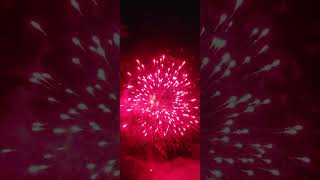 Donut King 10 Shot 500 Gram Firework by Shogun