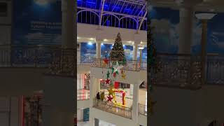 Christmas Tree Lighting in Ilford Mall